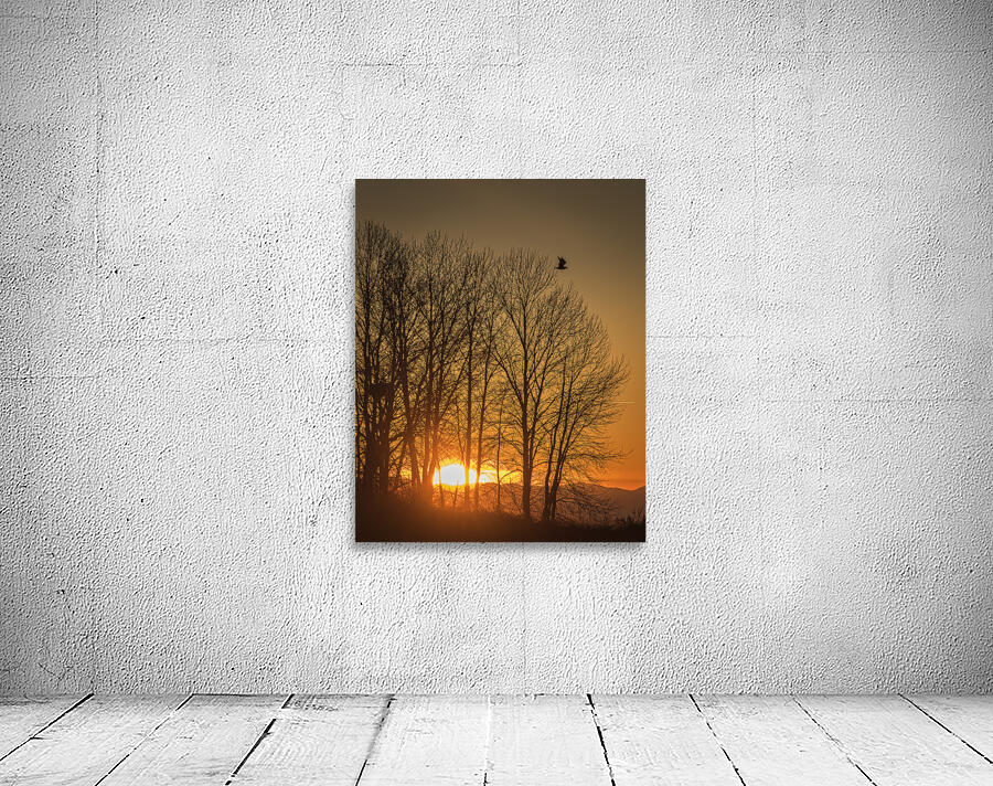 FS250118 SILHOUETTES Wall Preview