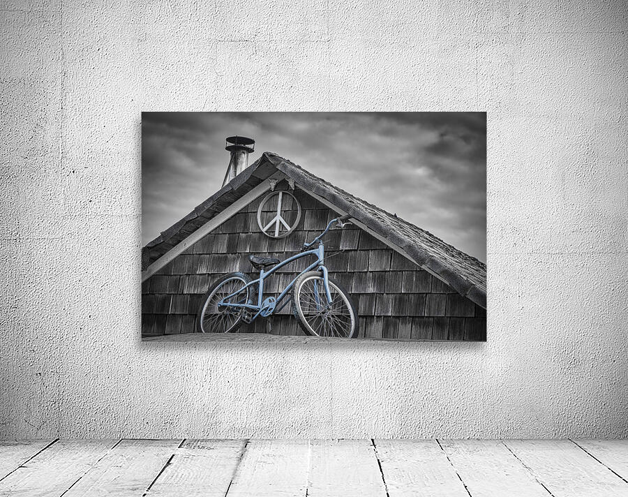 FS240214 BLUE BIKE ON ROOF Wall Preview