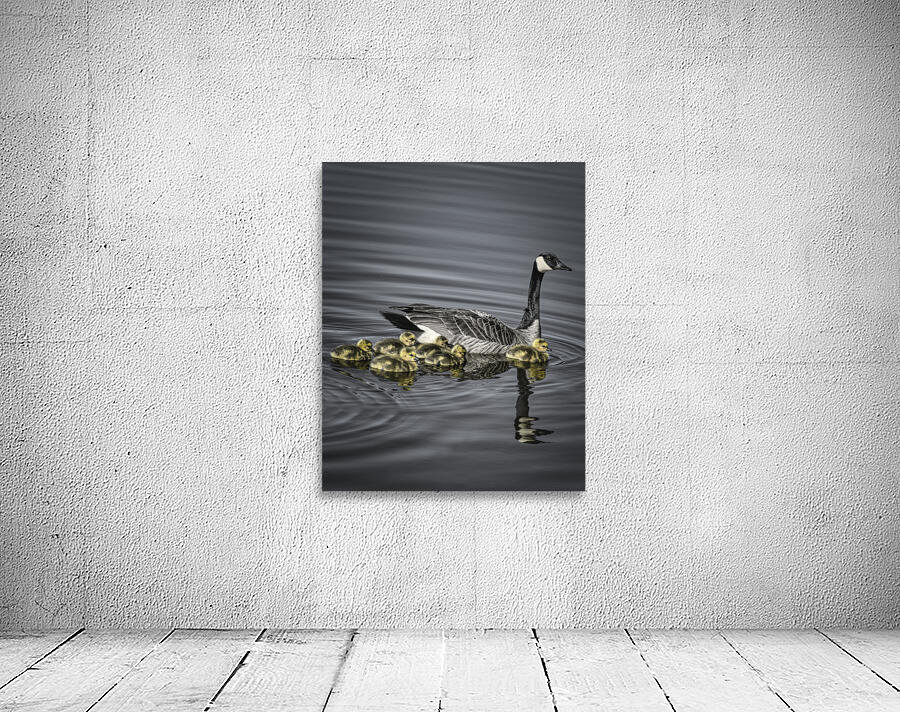 FS240422 GOOSE MOTHER AND KIDS Wall Preview