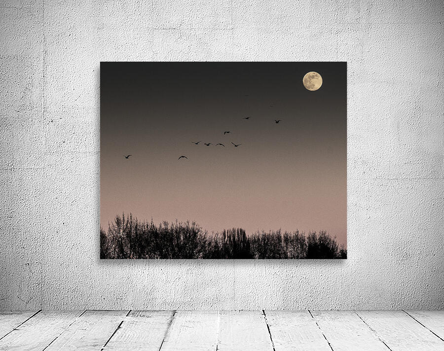 FS250211 MOONRISE 810 Wall Preview