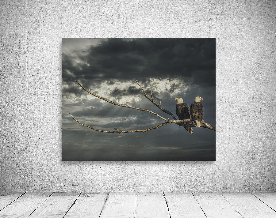 FS250211 EAGLES TWOGETHER  25 Wall Preview