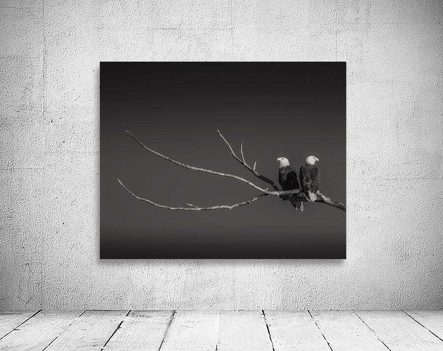 FS250211 EAGLES TWOGETHER B4 Wall Preview