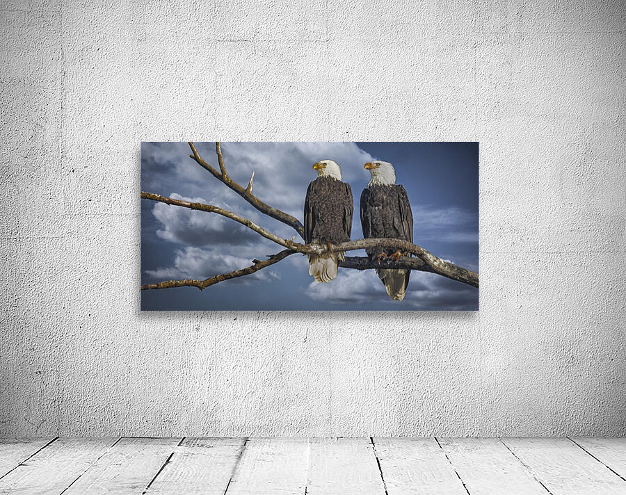 FS250211 PAIR OF EAGLES TWOGETHER 2 Wall Preview