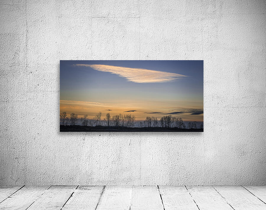 FS250121DW CLOUDSCAPE VL8 Wall Preview