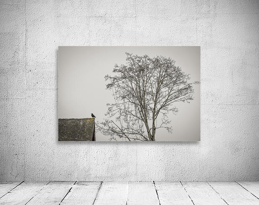 FS230317 MONO Edit Wall Preview