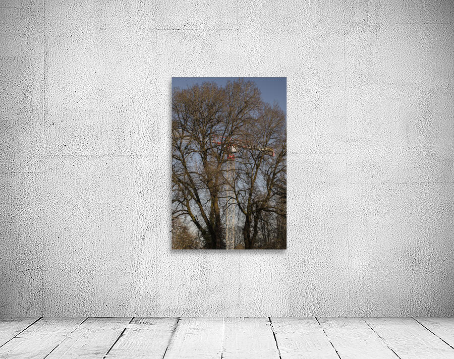 FOREST TRANSFORM TO BUILDINGS Wall Preview
