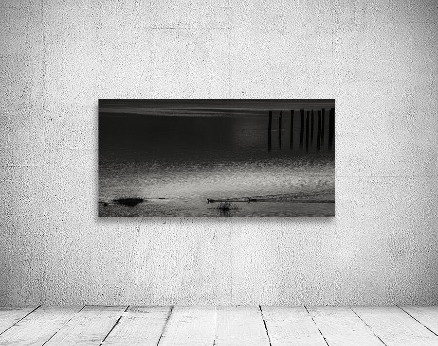 FS250225BW2 TWO DUCKS Wall Preview