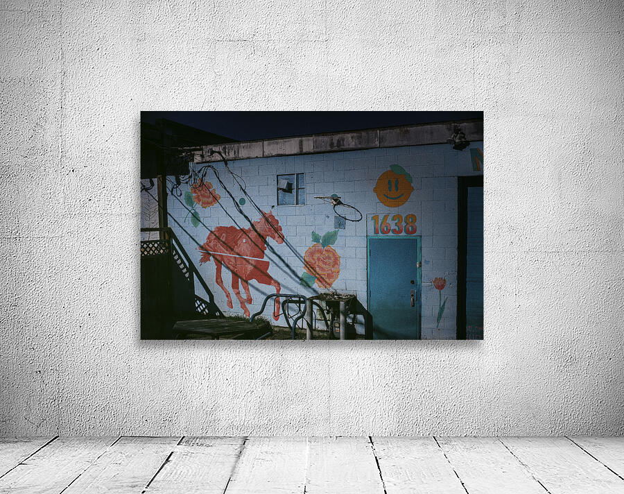 FS250306 BACK YARD Wall Preview