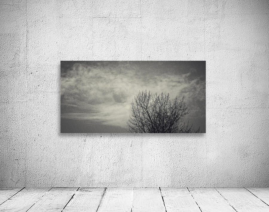 FS250401 CLOUDSCAPE Wall Preview