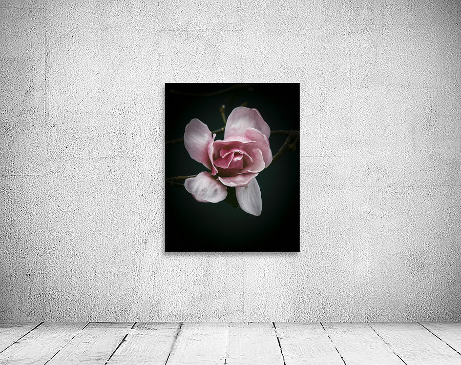 FS250402 SPRING FLOWER Wall Preview