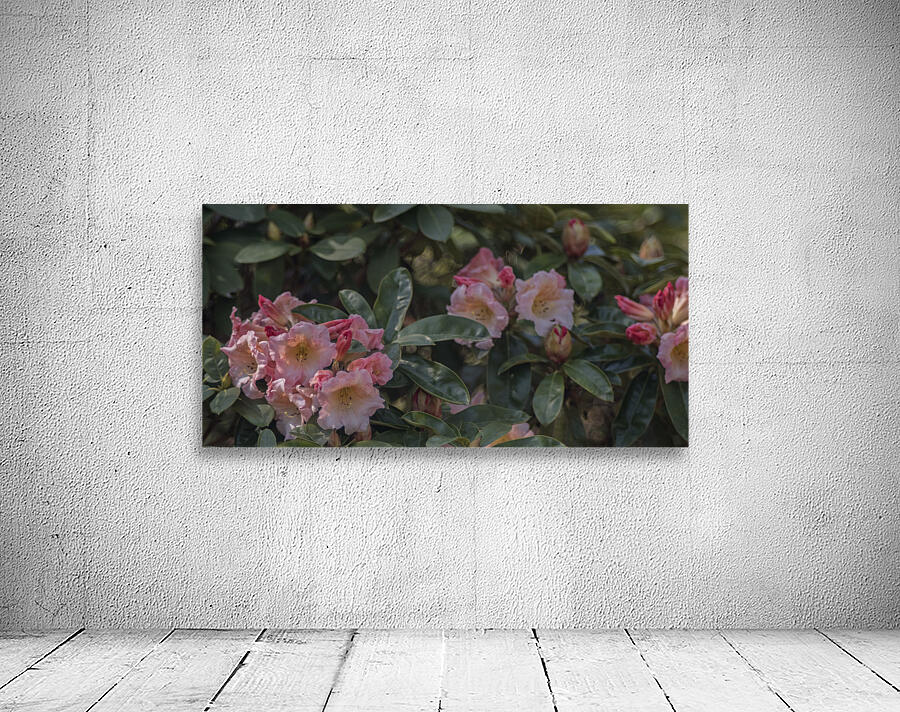 FS250422 SPRING FLOWERS Wall Preview