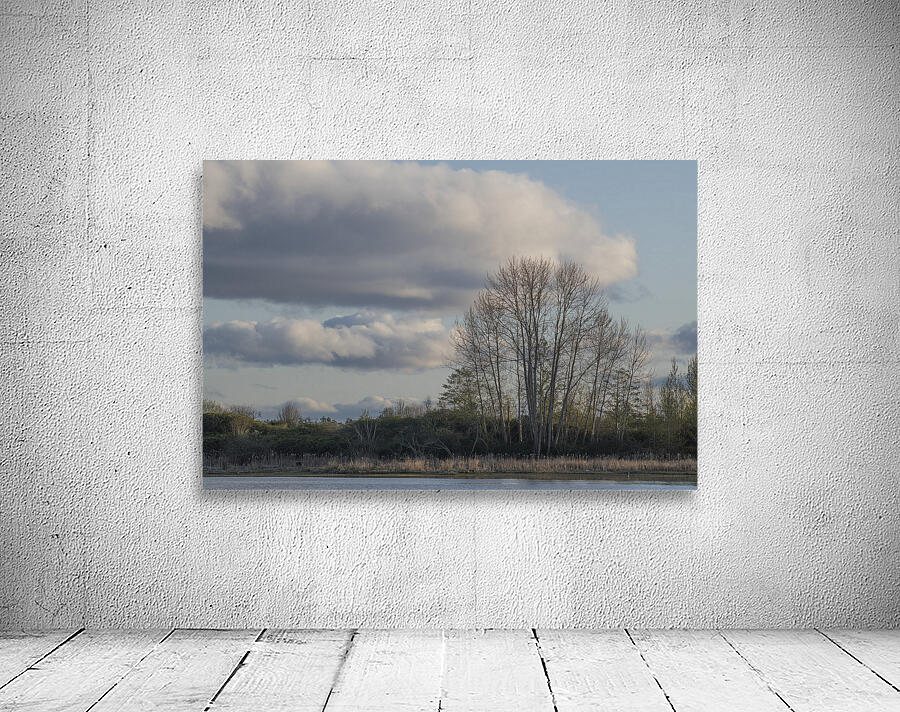 FS250410 CLOUDSCAPE Wall Preview