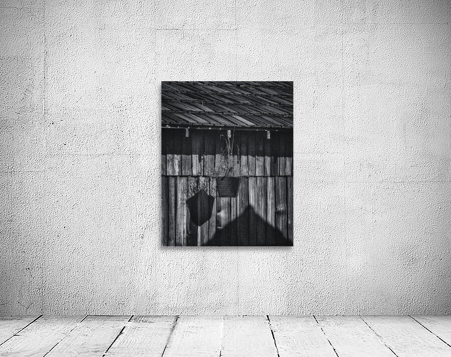 FS250402 COOL SHADOWS Wall Preview