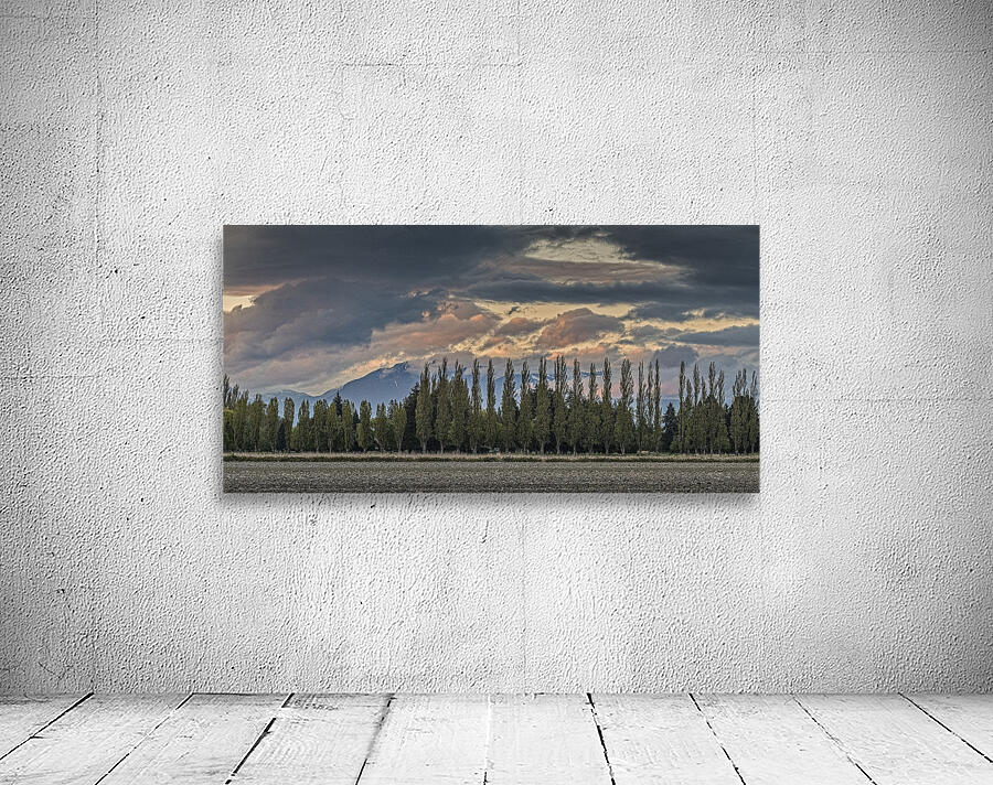 FS250420 BEFORE SUNSET Wall Preview