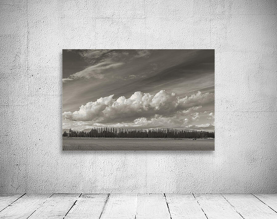 FS250514 SEPIA CLOUDSCAPE Wall Preview