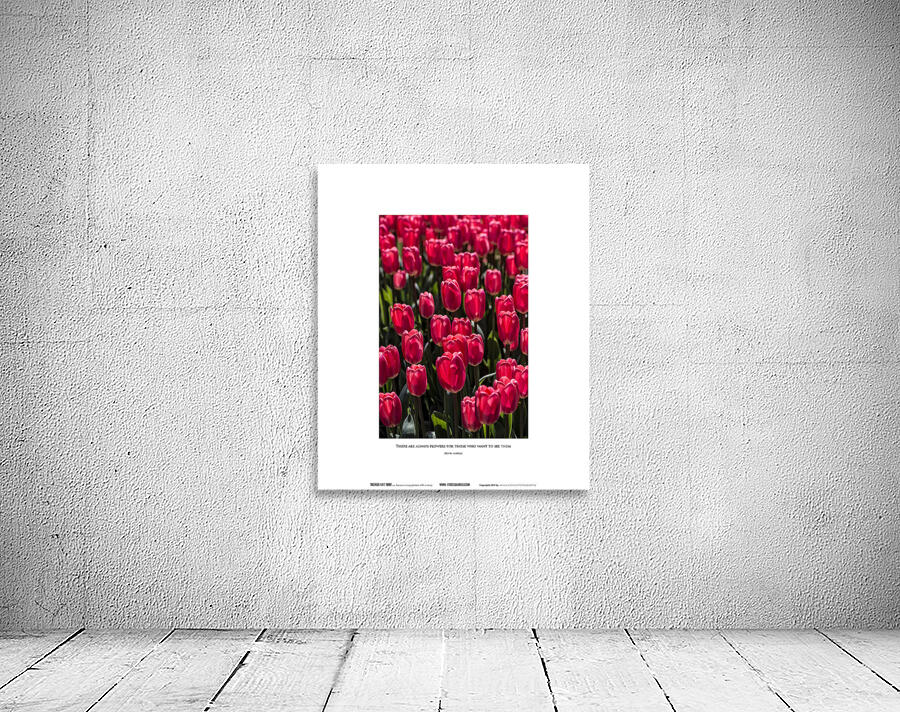 ALWAYS FLOWERS Wall Preview