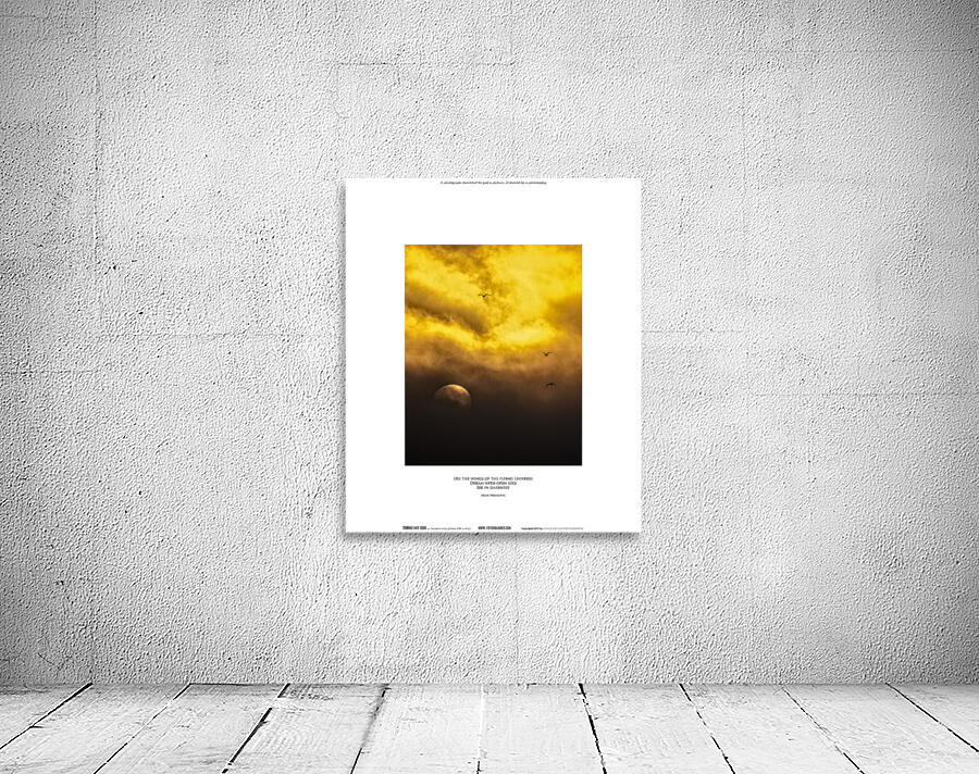 SEE IN DARKNESS Wall Preview
