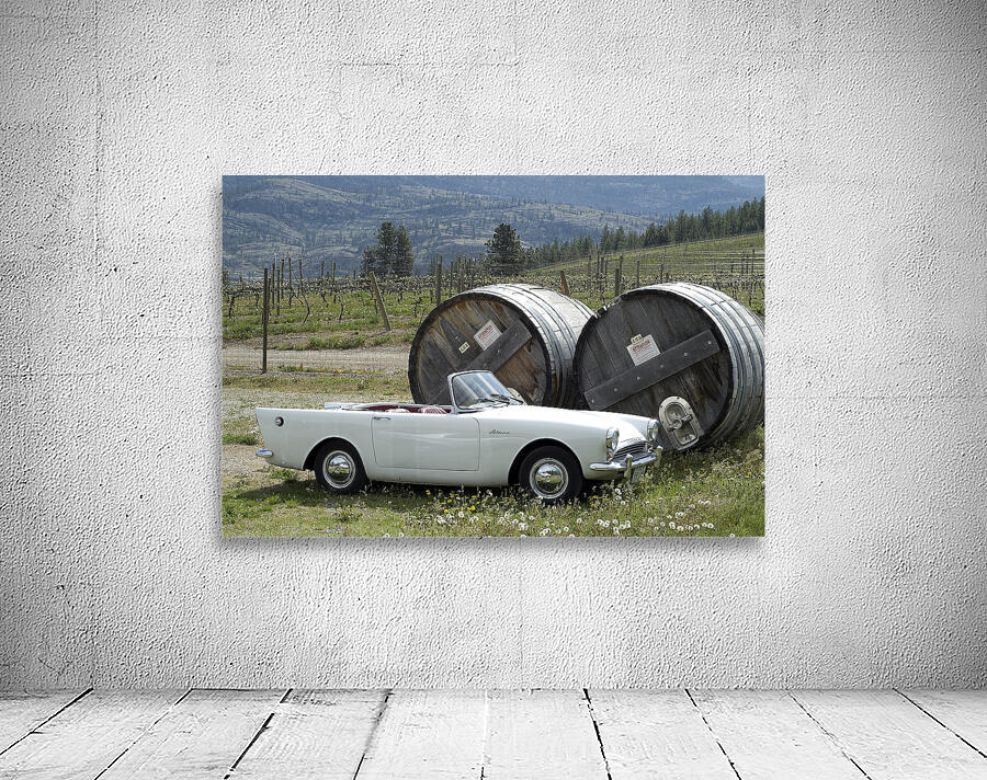 VINEYARD Wall Preview