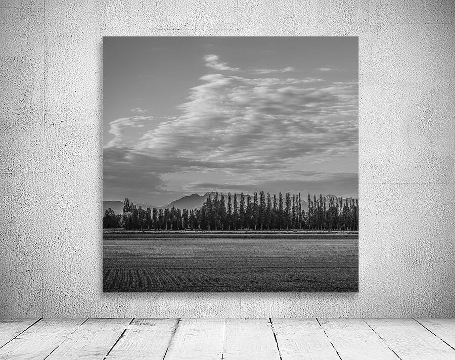 FS250528 CLOUDSCAPE Wall Preview
