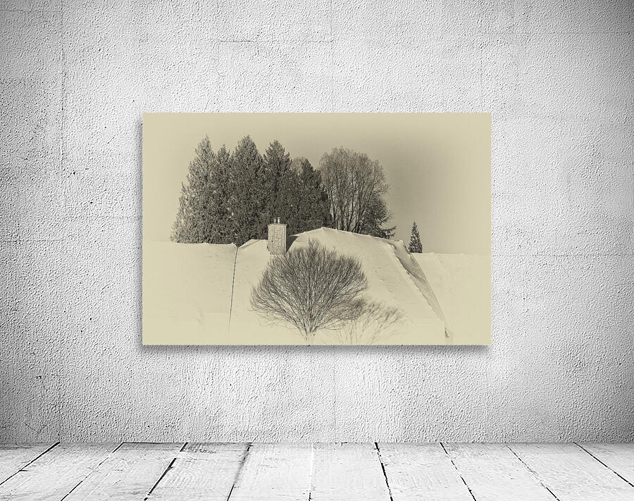 Chimney And Trees Wall Preview