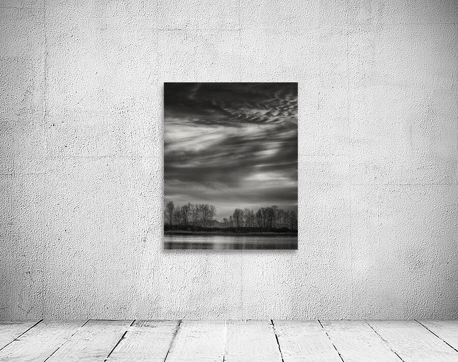 FS250226BW CLOUDSCAPE Wall Preview