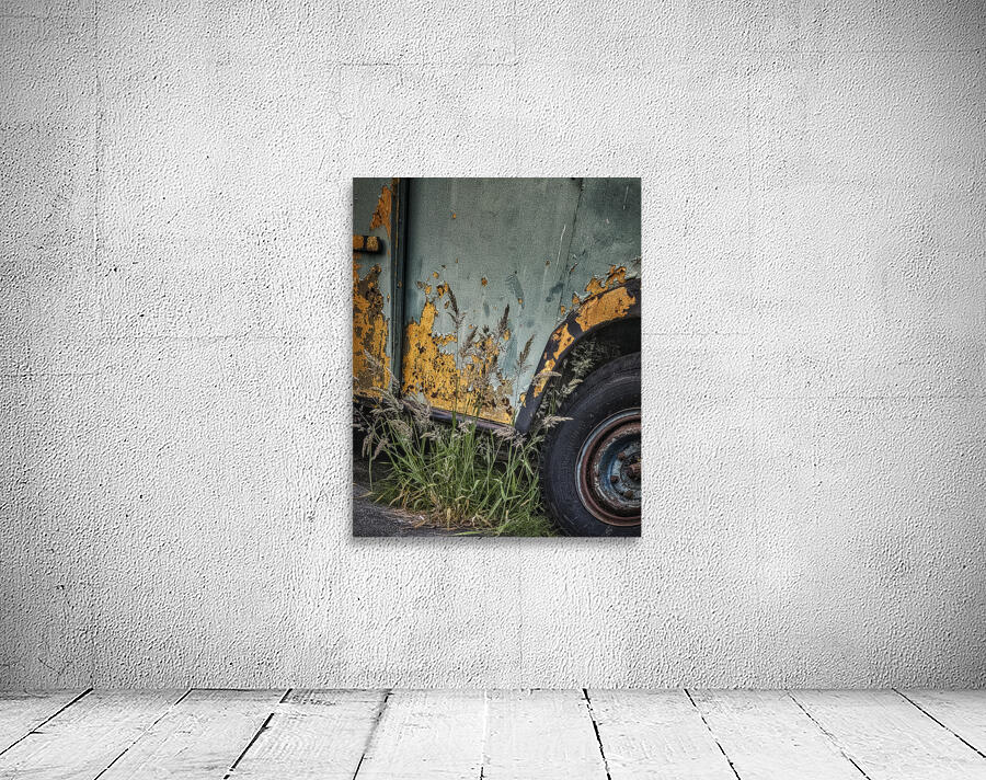 FS250623 RUST ART Wall Preview