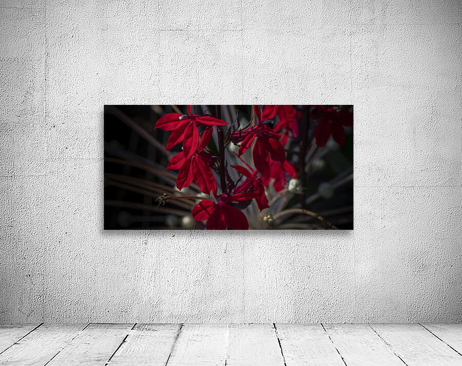 FS250730 FLOWERS Wall Preview