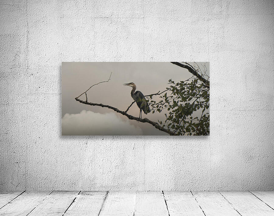 FS250730 HERON 2 Wall Preview