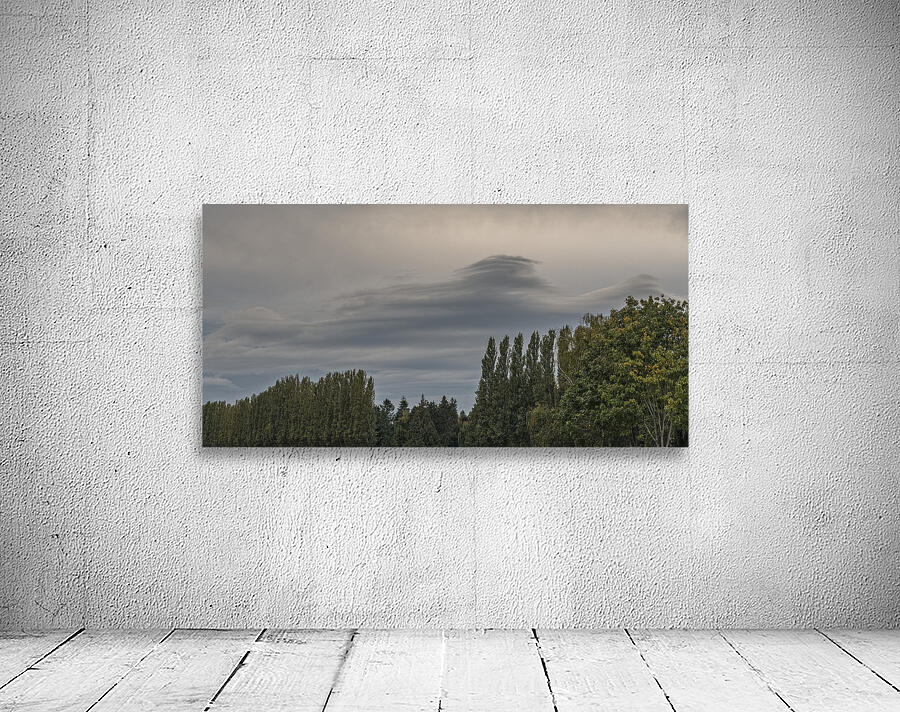 FS250920 TREES AND CLOUDS Wall Preview