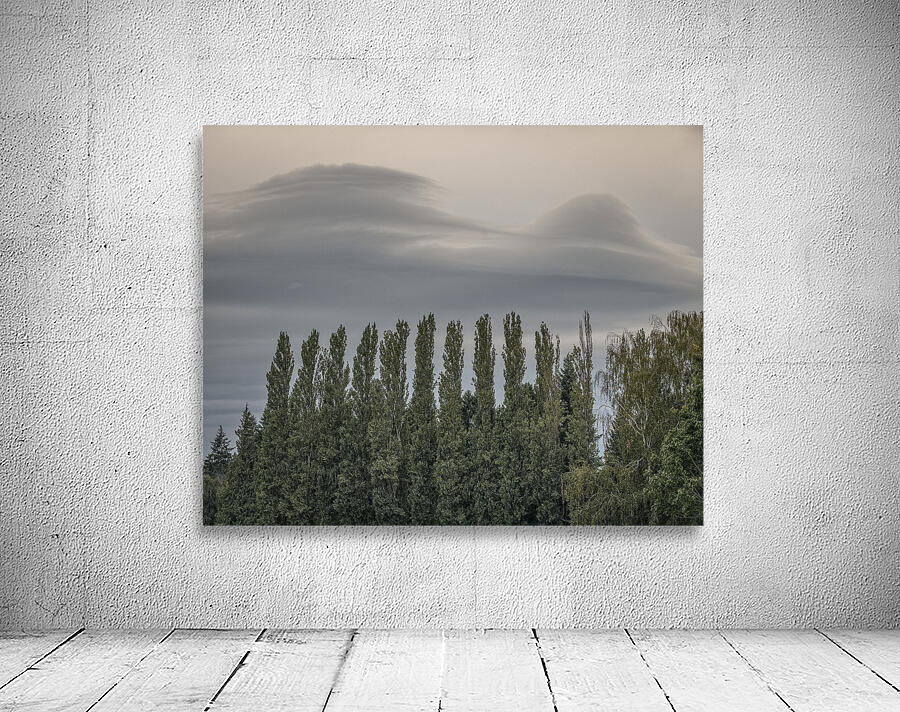 FS250920 CLOUDSCAPE Wall Preview