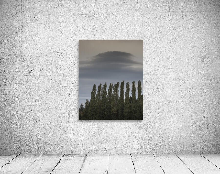 FS250920 CLOUDSCAPE Wall Preview