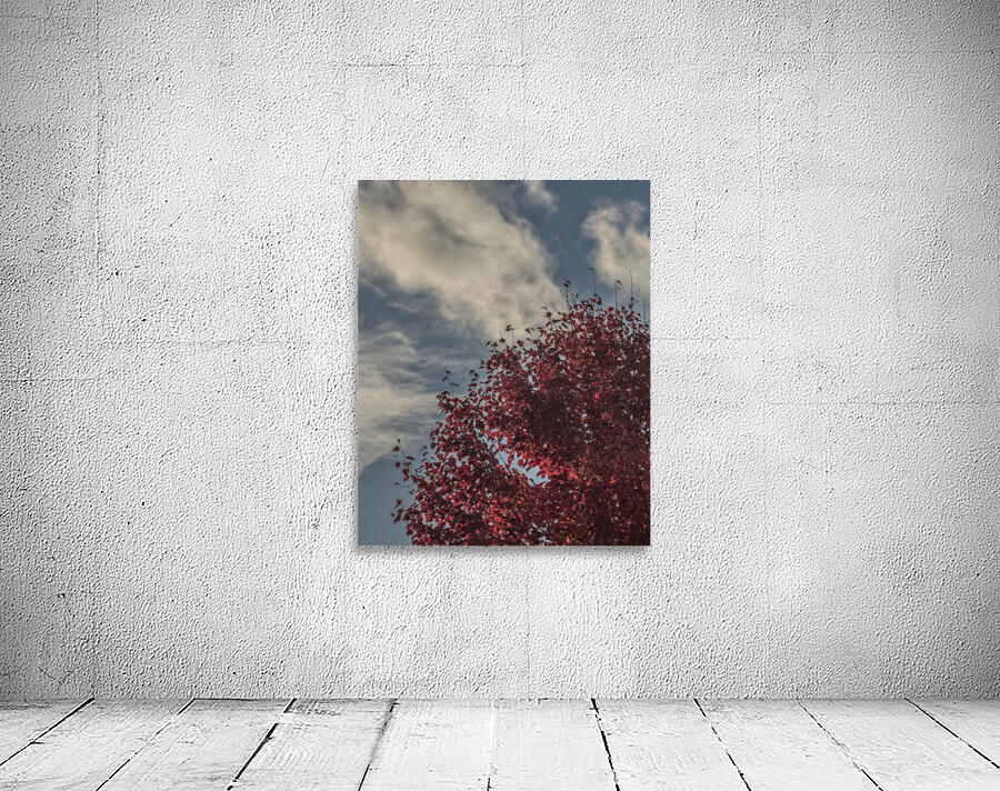 FS251027 LOOK UP Wall Preview