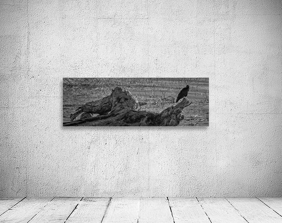 FS251015BW CROW Wall Preview