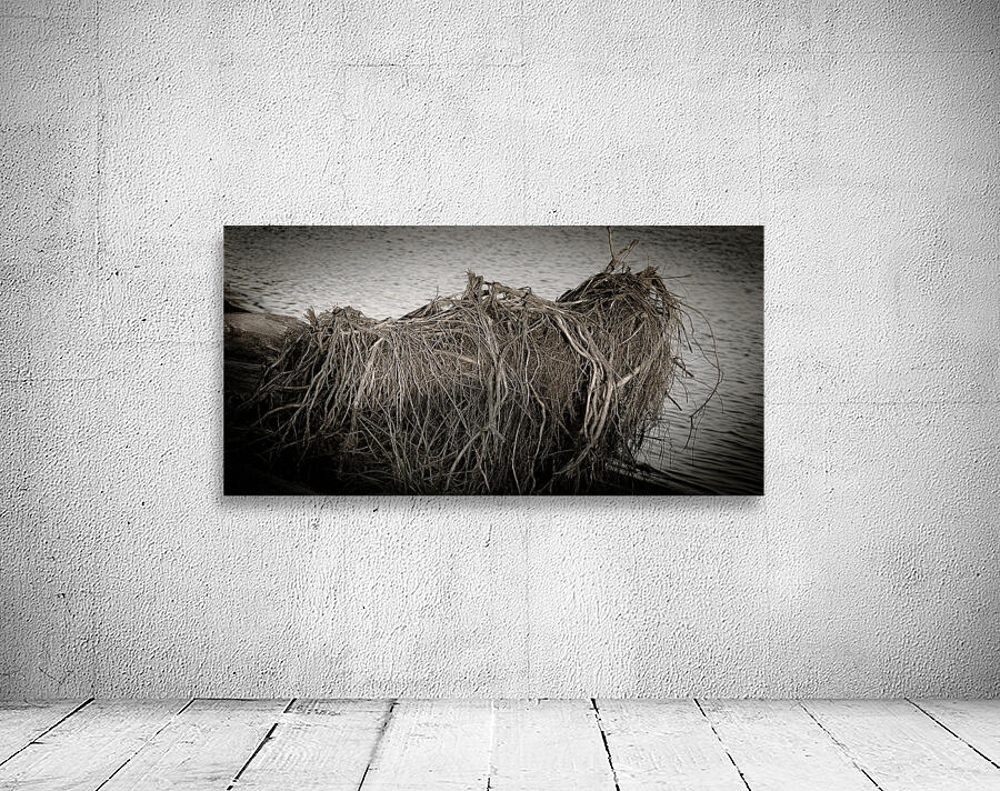 FS250925DW ROOTS Wall Preview