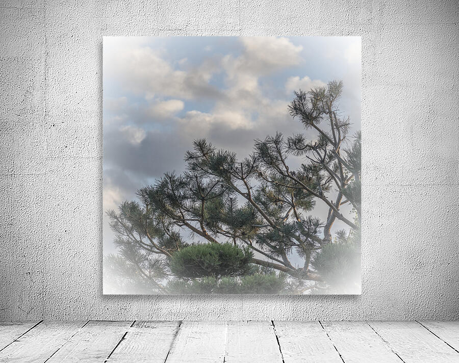 FS250925 TREE Wall Preview