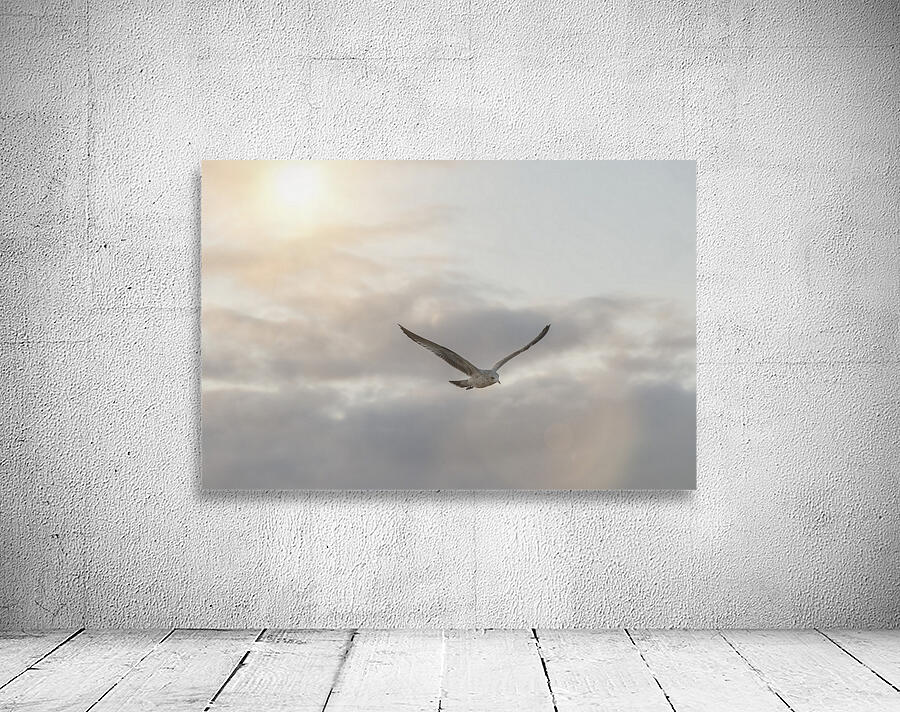 FS251107MS SEAGULL Wall Preview