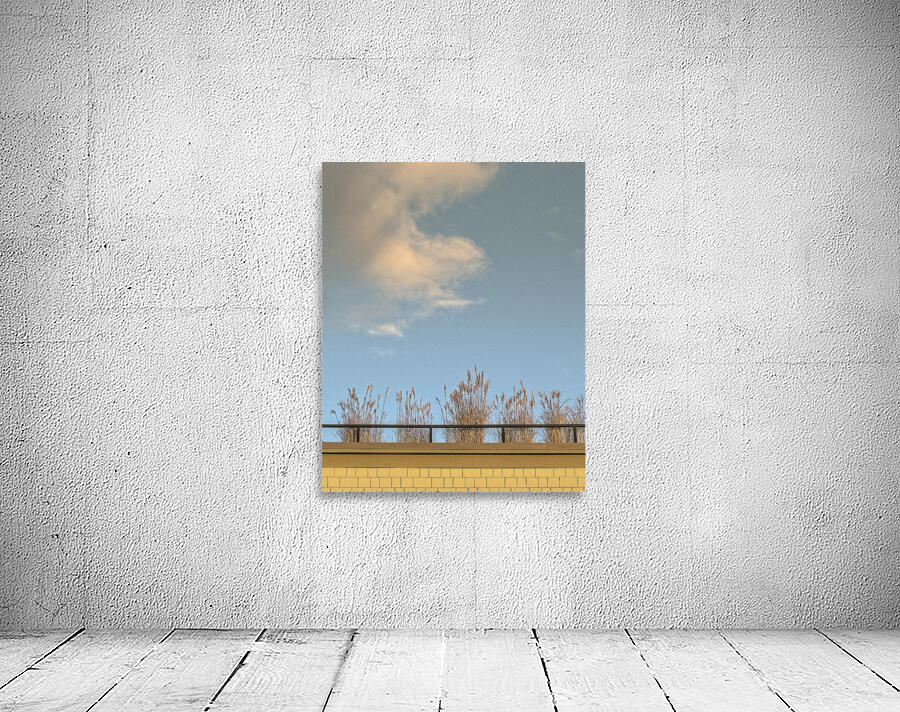 FS251101 CLOUDSCAPE Wall Preview