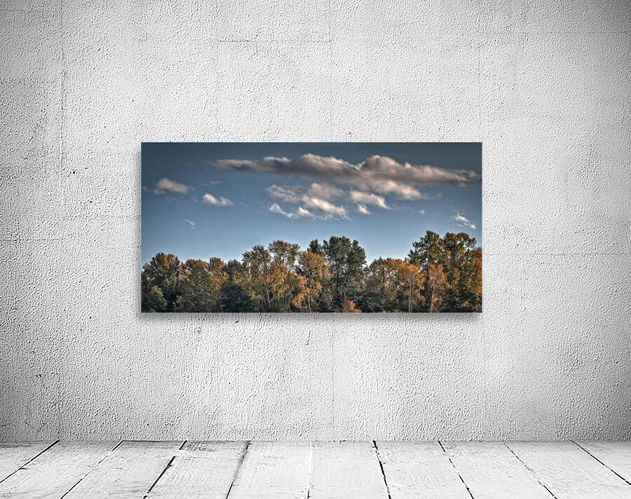 FS251022DW3 CLOUDSCAPE Wall Preview
