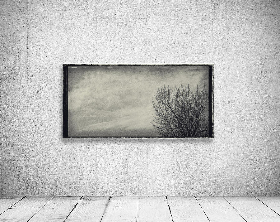 FS250401 FRAMED CLOUDSCAPE AND TREE Wall Preview