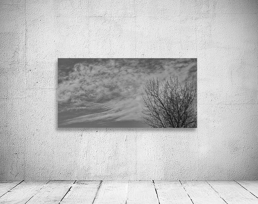 FS250401 BW CLOUDSCAPE Wall Preview