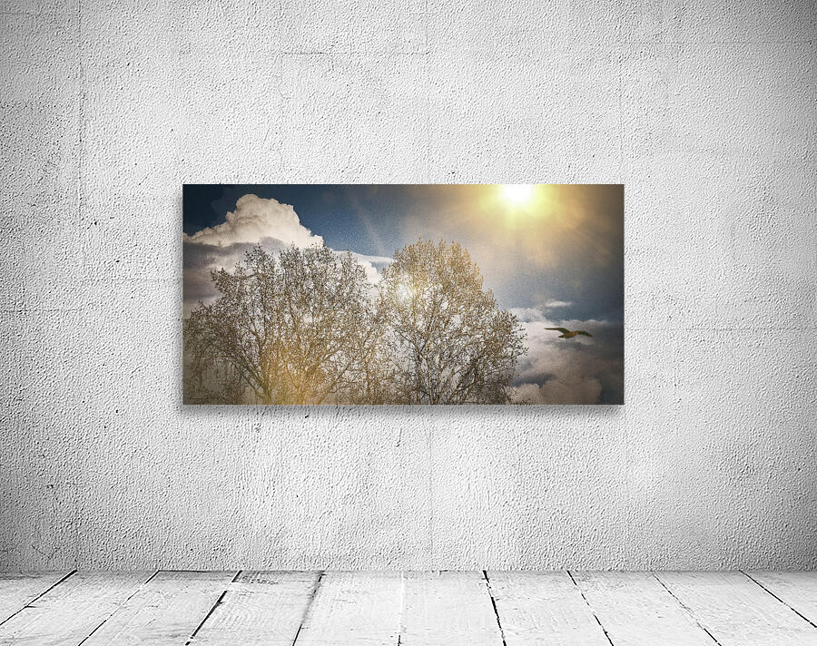 FS250331 ON A SIMPLE DAY Wall Preview