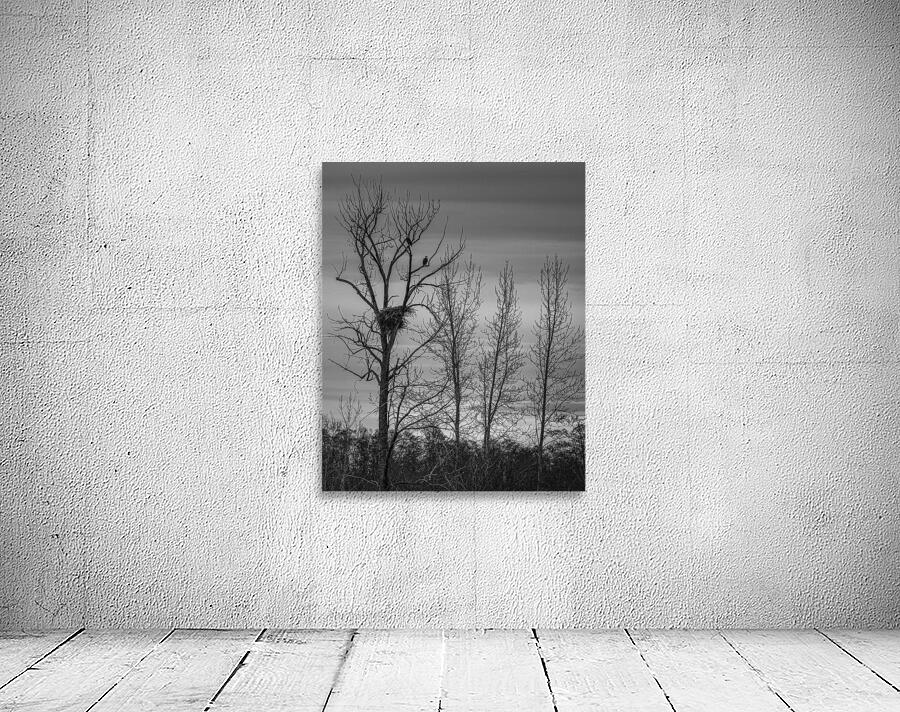 FS250307BW3 EAGLE NEST AT SUNSET Wall Preview