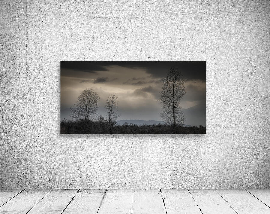 FS250307 DRAMATIC SKY Wall Preview