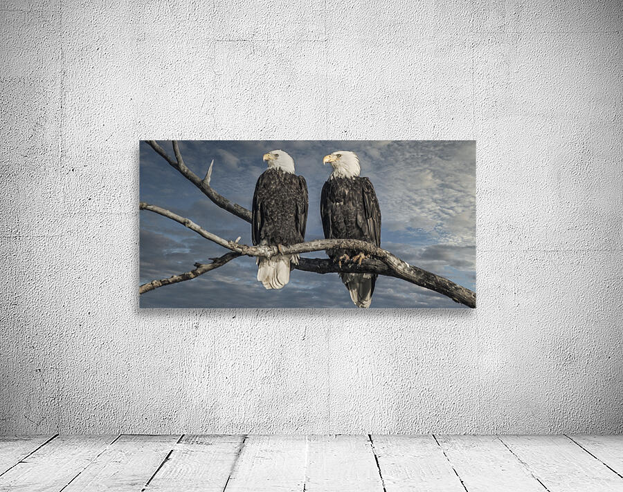 FS250211DW5 EAGLES TWOGETHER Wall Preview