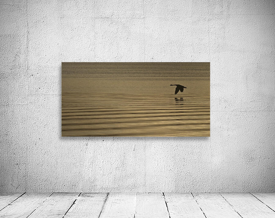 FS251002 42 Wall Preview