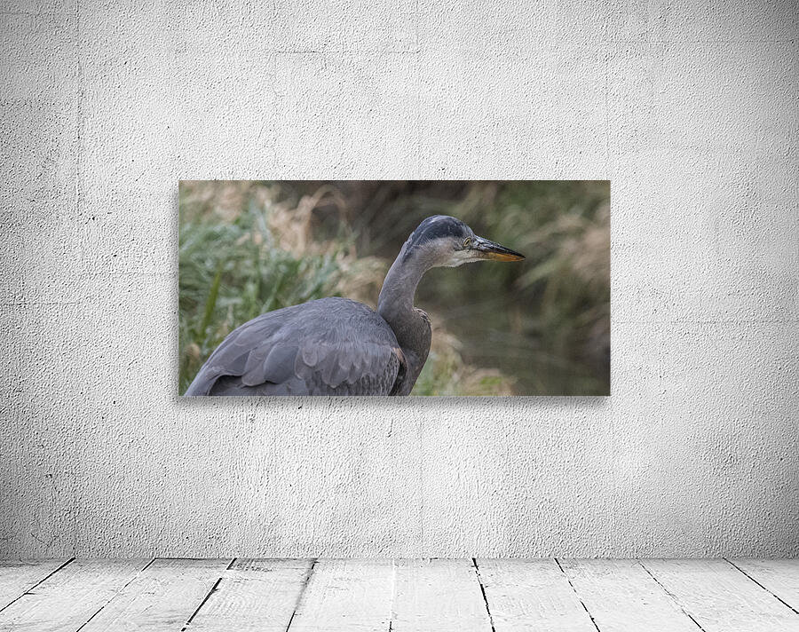 FS260121 HERON Wall Preview