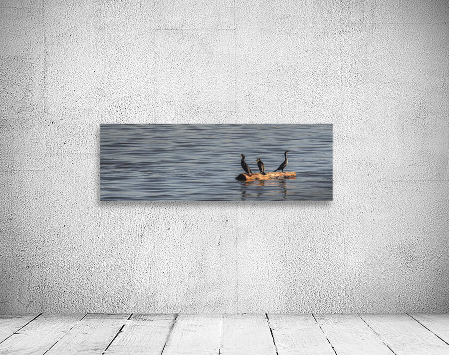 WARMTH IN THE SUN Wall Preview