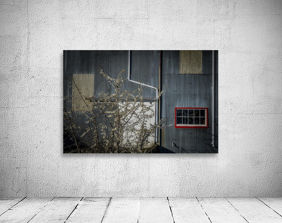 FS260228A RED WINDOW Wall Preview