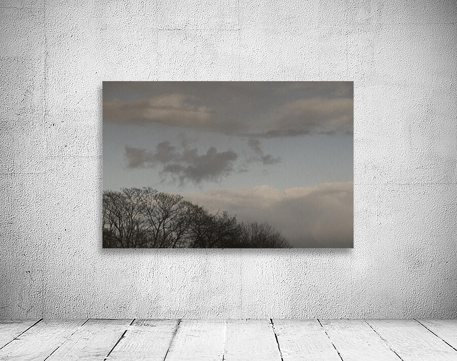 FS260308 CLOUDSCAPE Wall Preview