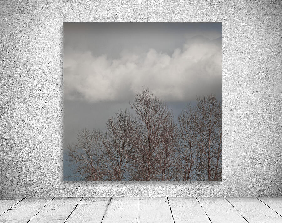 FS260308S CLOUDSCAPE Wall Preview